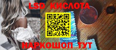 гашик Гатчина