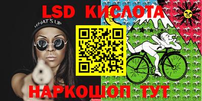 гашик Гатчина