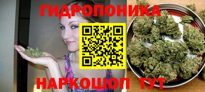 гашик Гатчина