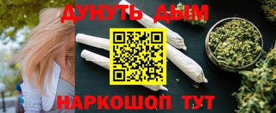 гашик Гатчина