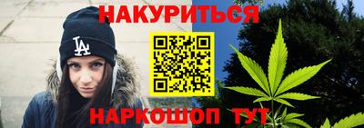 гашик Гатчина