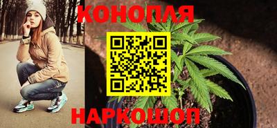прущий лед Гай