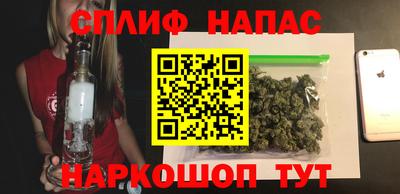 гашик Гатчина