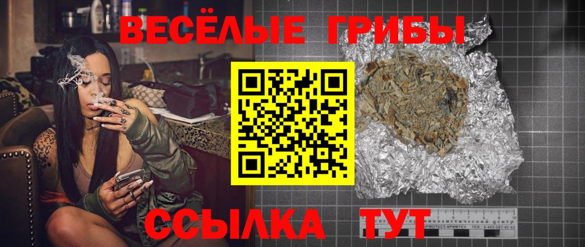 Псилоцибиновые грибы мицелий  Вход с VPN  Нальчик 