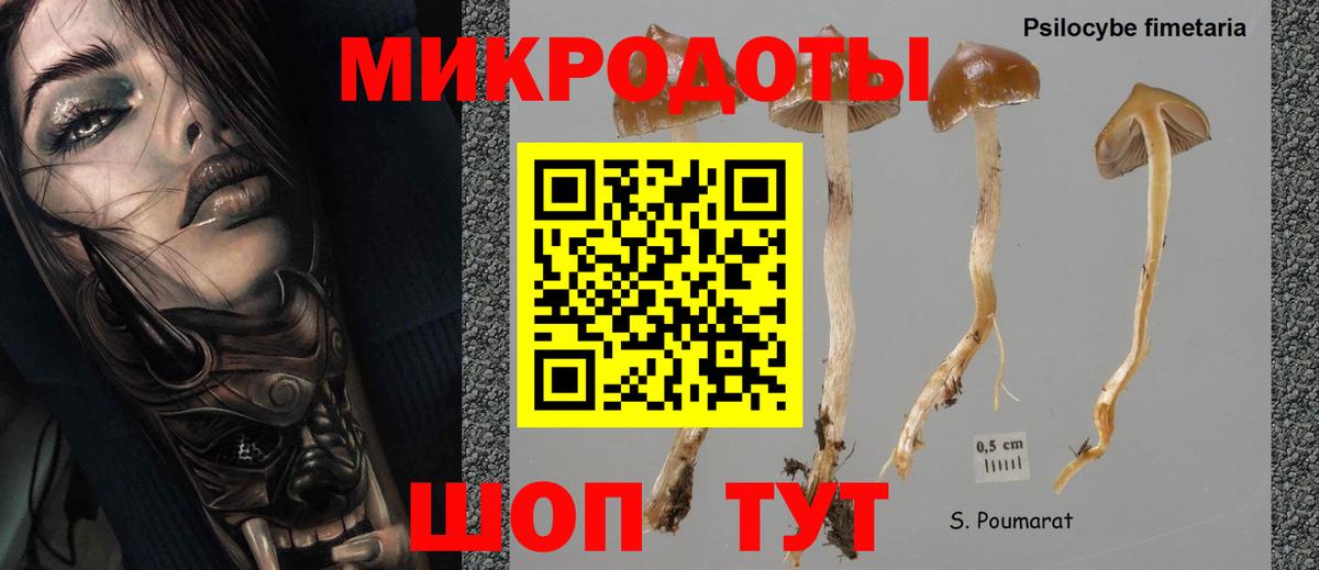 Галлюциногенные грибы прущие грибы Нальчик